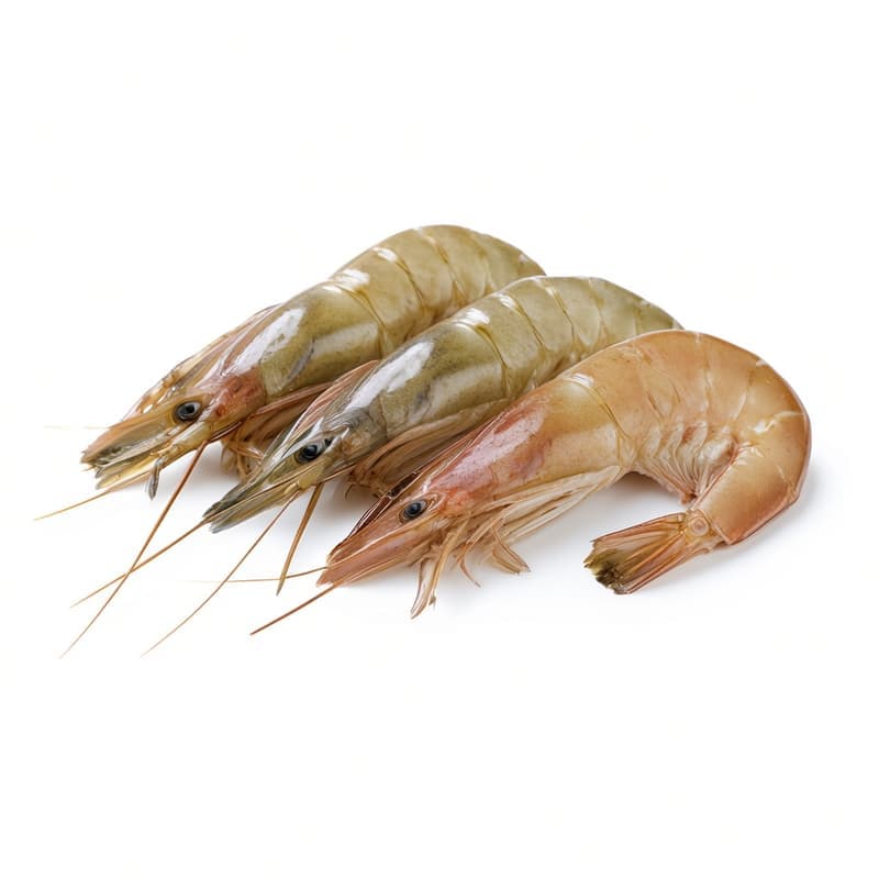 Prawns